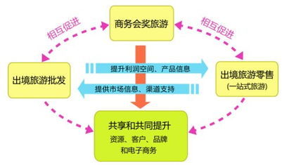 圖解年報 眾信旅游業績持續高增長 發力線上業務